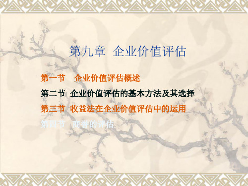 第九章企业价值评估
