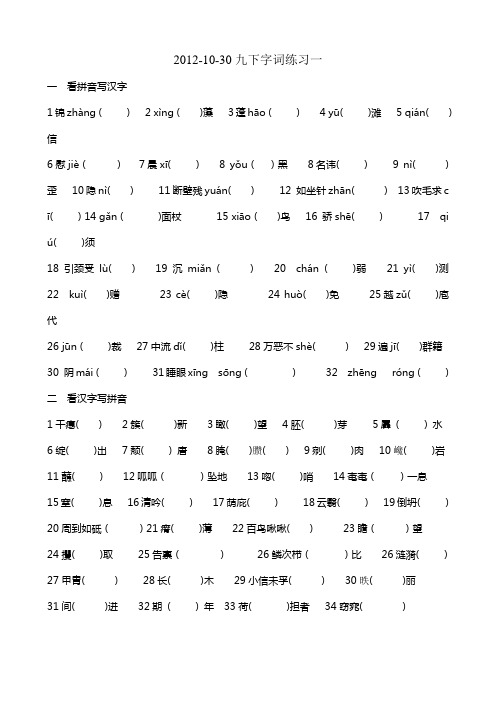 2012九年级下词语