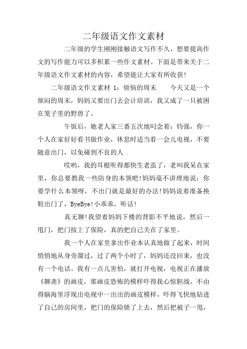 二年级语文作文素材