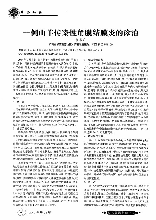 一例山羊传染性角膜结膜炎的诊治