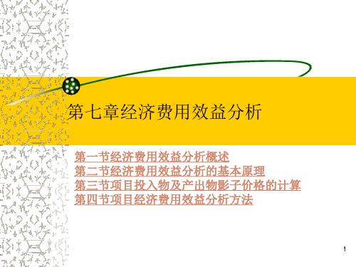 第七章项目经济费用效益分析