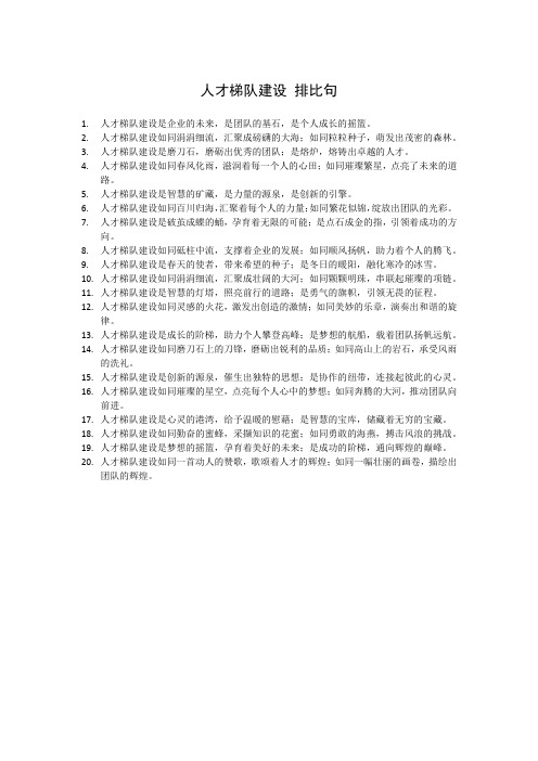 人才梯队建设 排比句