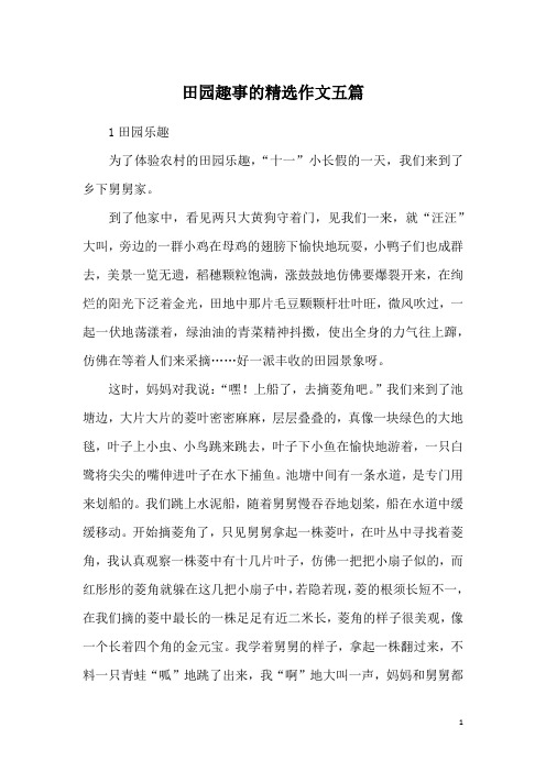 田园趣事的精选作文五篇