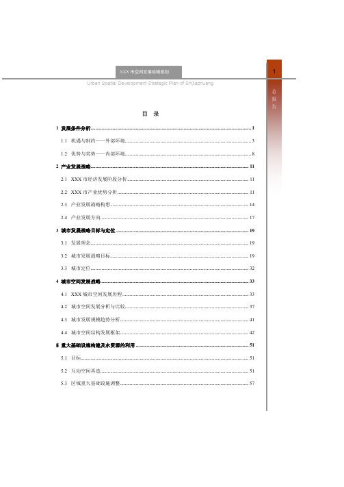 XX城市空间发展战略规划总报告