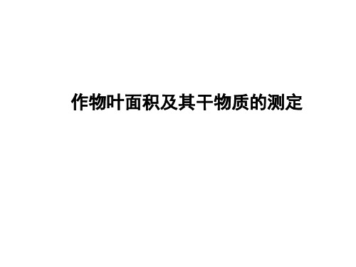 作物叶面积测定