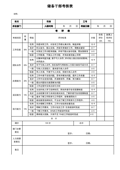 储备干部考核表