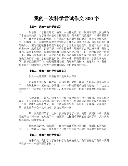 我的一次科学尝试作文300字