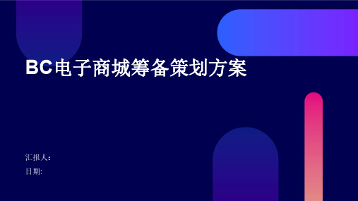 BC电子商城筹备策划方案