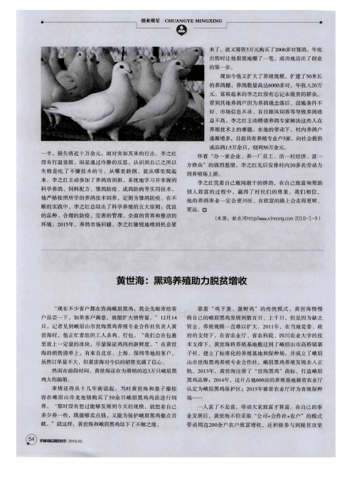黄世海：黑鸡养殖助力脱贫增收