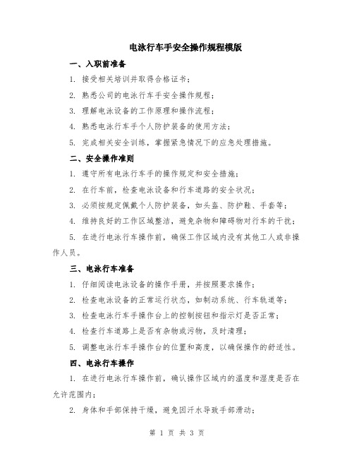 电泳行车手安全操作规程模版