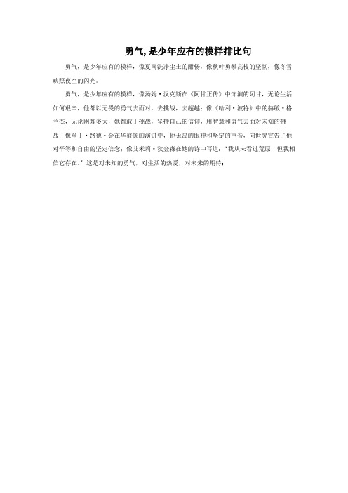 勇气,是少年应有的模样排比句