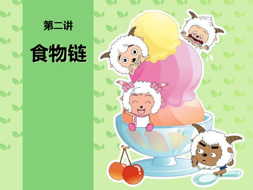 食物链(精美自制ppt)