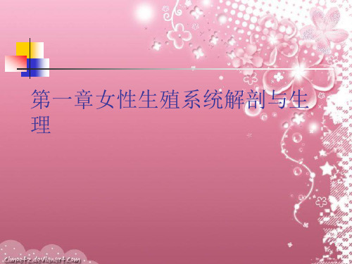 女性生殖系统解剖与生理课件
