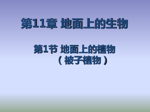 (完整)苏科版生物七级下册《地面上的植物》课件精品PPT资料精品PPT资料