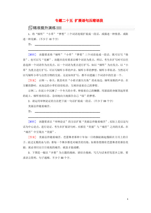 新高考语文大二轮复习提升练十五扩展语句压缩语段