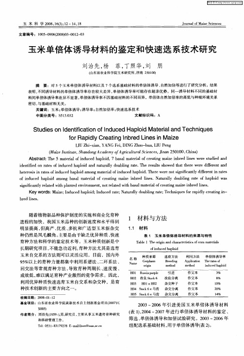 玉米单倍体诱导材料的鉴定和快速选系技术研究