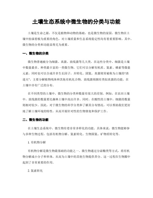 土壤生态系统中微生物的分类与功能