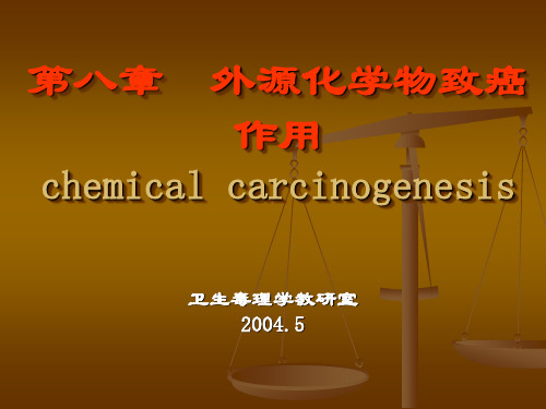 第八章外源化学物致癌作用chemicalcarcinogenesis