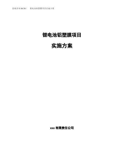锂电池铝塑膜项目实施方案