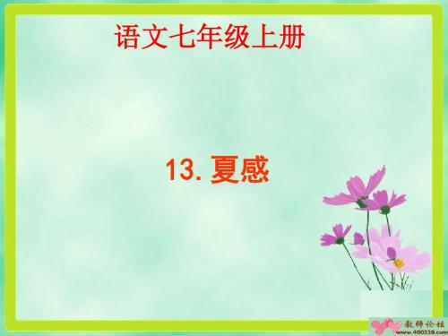 七年级语文上册_夏感_课件新人教版MH