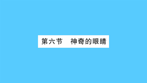 第4章  第6节 神奇的眼睛—2020年秋教科版物理八年级上册课时作业课件
