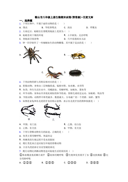 鞍山市八年级上册生物期末试卷(带答案)-百度文库