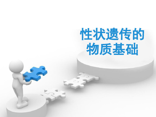 《性状遗传的物质基础》PPT【优质课件】