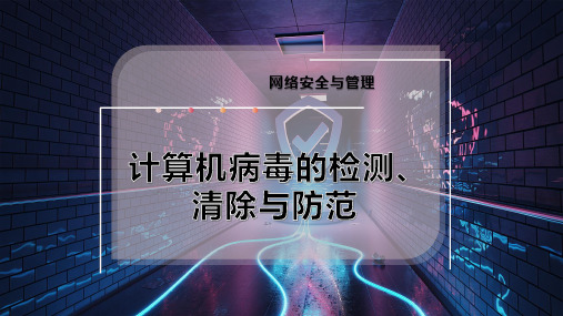 计算机病毒的检测