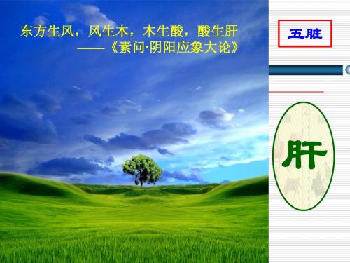 藏象之肝、肾