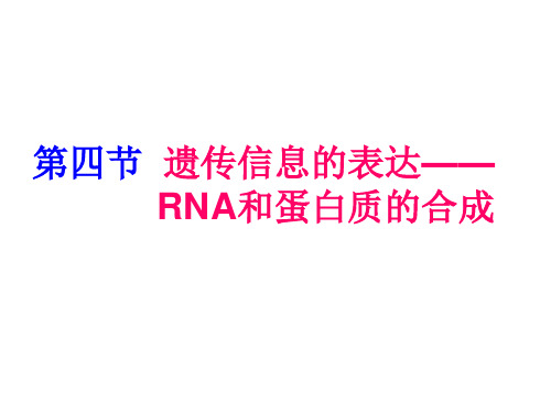 浙科版高中生物必修二第三章 第四节 遗传信息的表达和蛋白质的合成(共13张PPT)