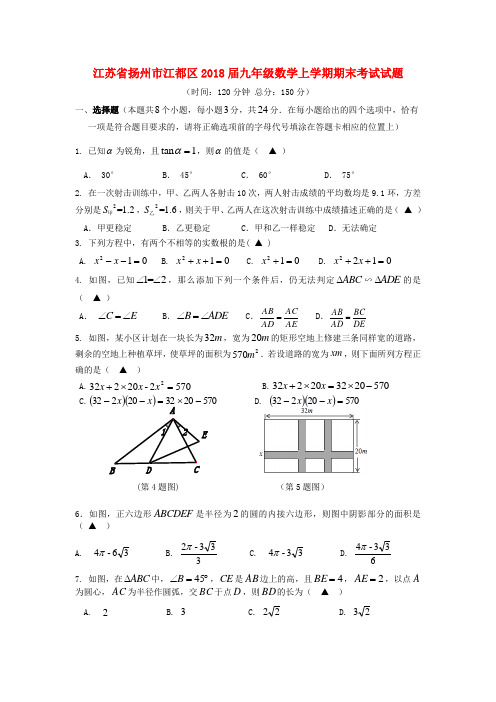 江苏省扬州市江都区2018届九年级数学上学期期末考试试题 苏科版