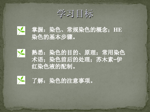 组织切片染色技术