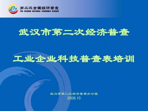 武汉市第二次经济普查ppt