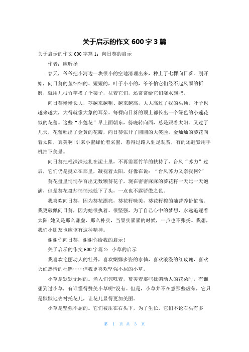 关于启示的作文600字3篇