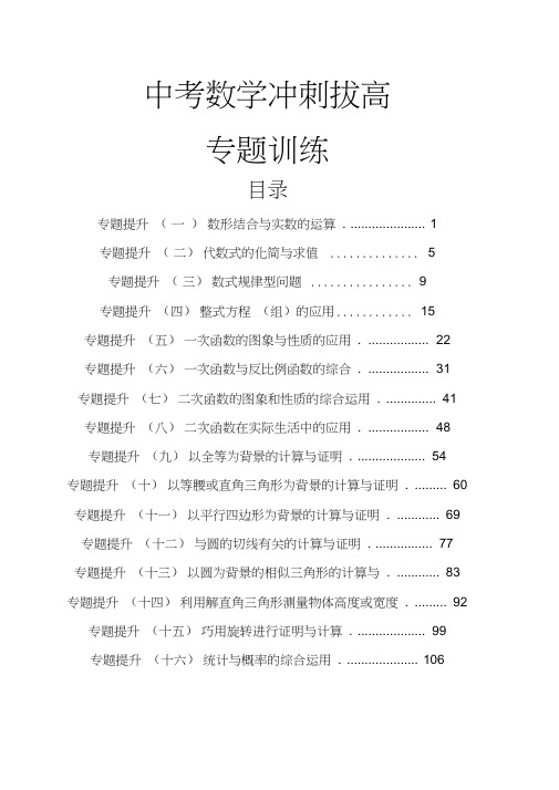 中考初三数学冲刺拔高专题训练含答案