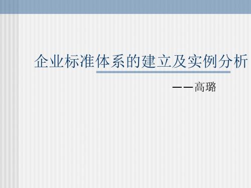 企业标准体系的建立及实例分析-PPT课件
