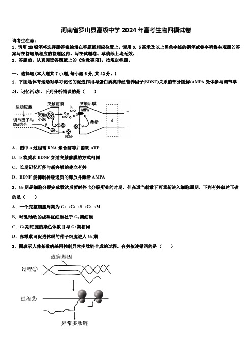 河南省罗山县高级中学2024年高考生物四模试卷含解析