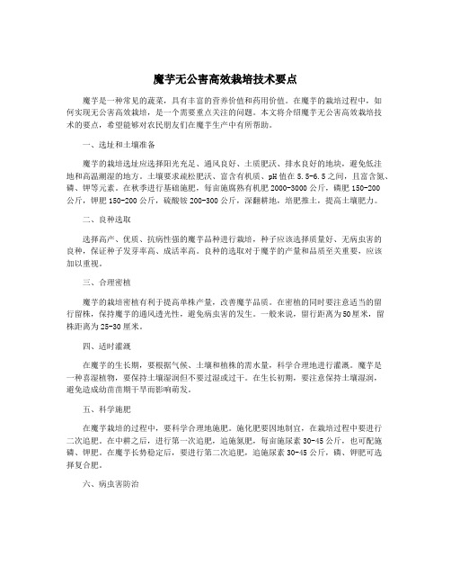 魔芋无公害高效栽培技术要点