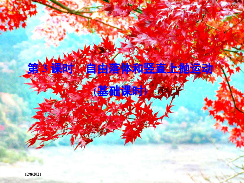 高考物理一轮总复习 第一章 第3课时 自由落体和竖直上抛运动(基础课时)课件 