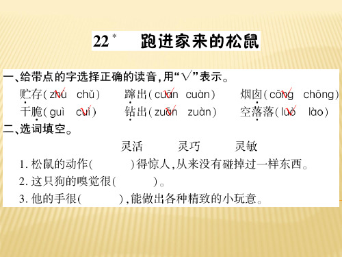 六年级上册语文课件 22、跑进家来的松鼠 人教新课标 (共7张PPT)