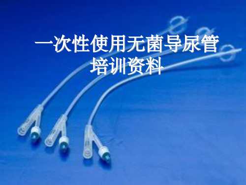 一次性使用无菌导尿管