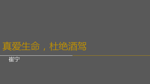 酒驾交通安全警示教育