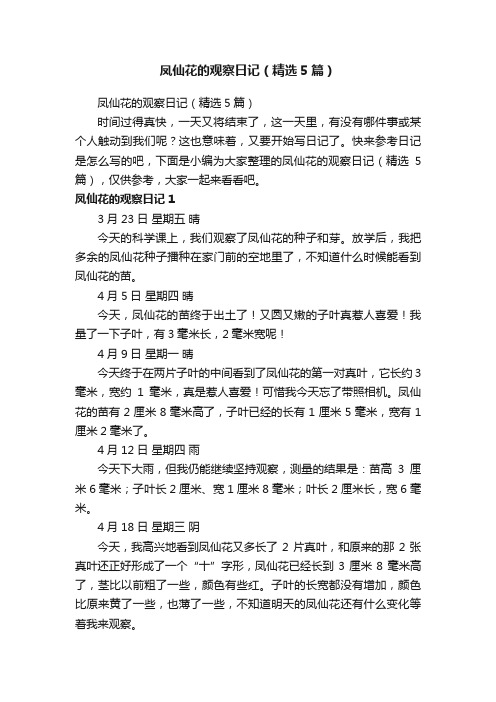 凤仙花的观察日记（精选5篇）