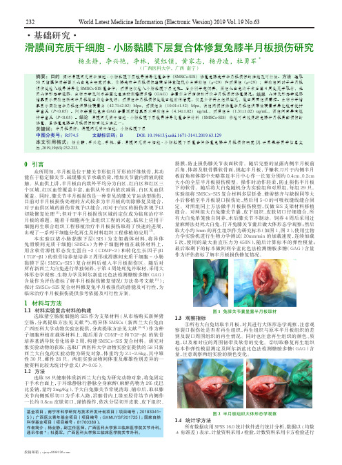 滑膜间充质干细胞-小肠黏膜下层复合体修复兔膝半月板损伤研究