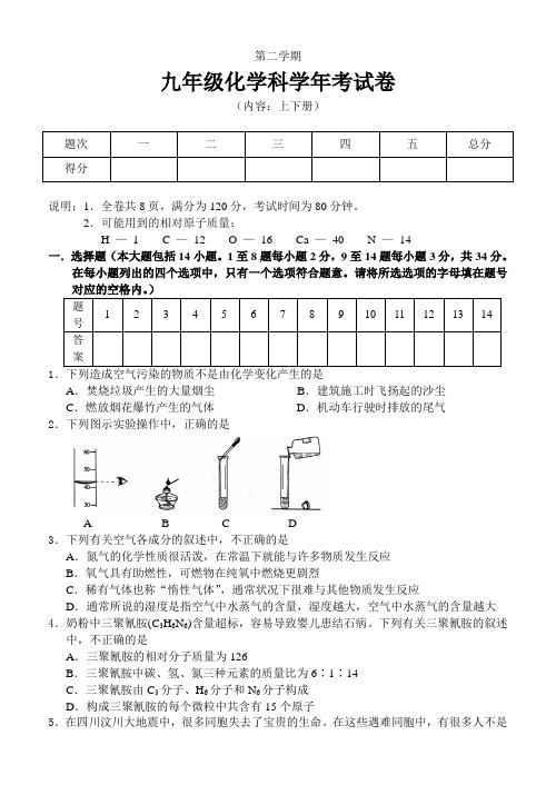 人教版九年级化学下册化学科学年考试卷 (2)