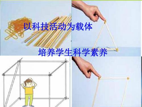 六年级上册科学课件2.5 做框架教科版 (共20张PPT) (1)