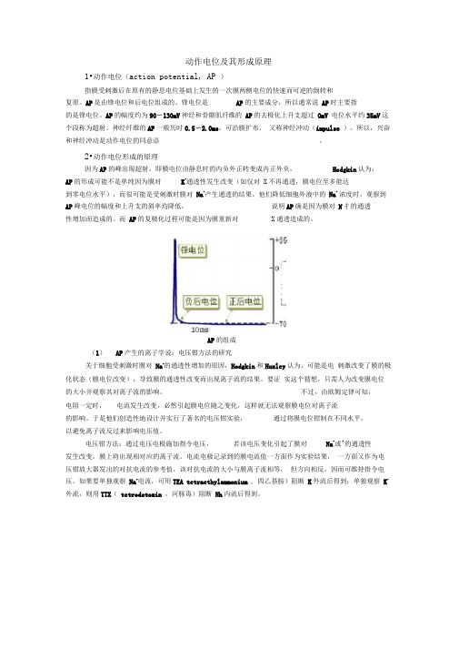 动作电位及其形成原理
