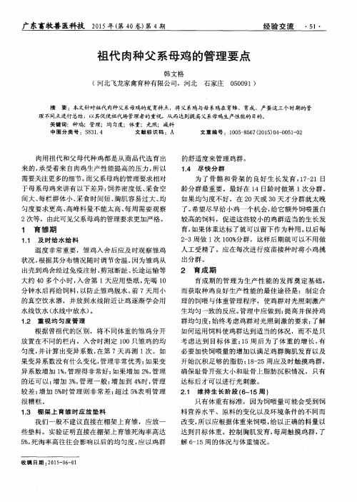 祖代肉种父系母鸡的管理要点