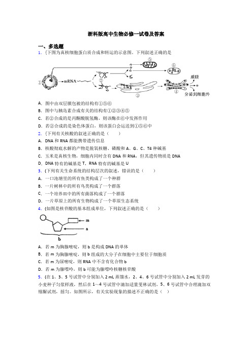 浙科版高中生物必修一试卷及答案