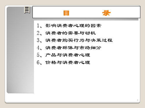 消费者心理与行为分析教材PPT模版(62页)